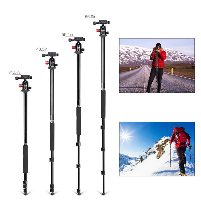 Zomei M6 traveler telescopic dslr tripod professional with quick release mount Monopod