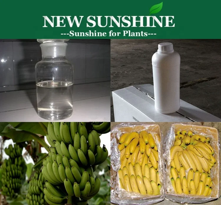 Plant Growth Regulator Ethephon 480g/L,Ethephon 720g/L,Ethephon 5%GEL