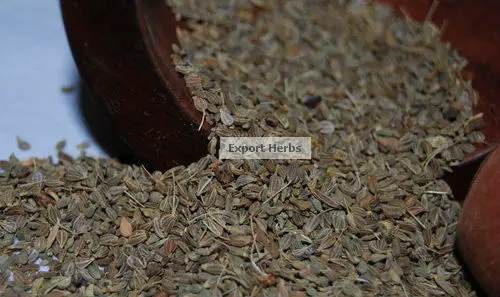 Семян аниса