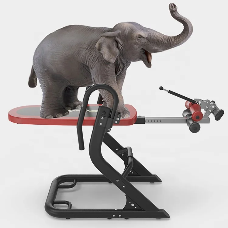 2019 factory cheap price high quality training gym inversion table for back pain therapy