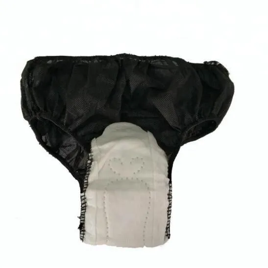 Одноразовые трусы для менструации с подкладкой для женщин, менструальные трусы, нижнее Белье для беременных