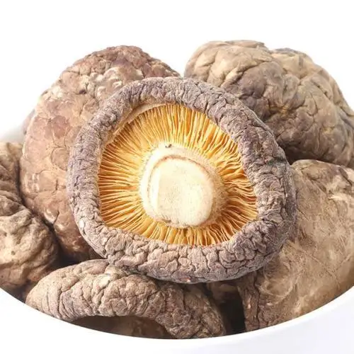 
2018 Hot sell shiitake mushroom slice /shitake mushrooms dried 