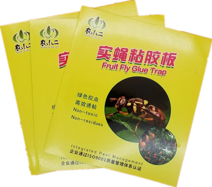 Fruit Flies Pheromone glue traps melon fly attracting sticky board