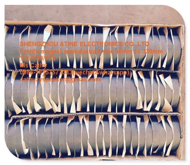 
Ring Ferrite Speaker Magnet 