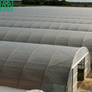 Пластиковая пленка для теплиц с грибами для выращивания растений, 200 микрон