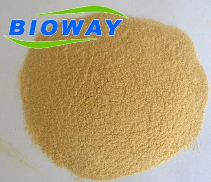 
Organic Sea Buckthorn juice powder (high Vitamin C grade, 20%) 