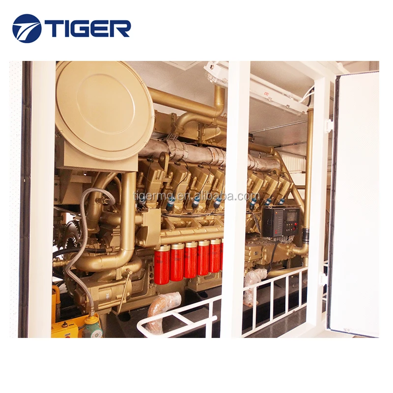 China top quality durable good price 1mw biogas generator