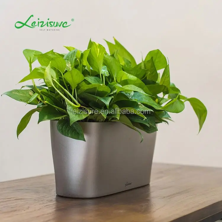 Self Watering Modena Windowsill Planter and Herb Garden China manufacture