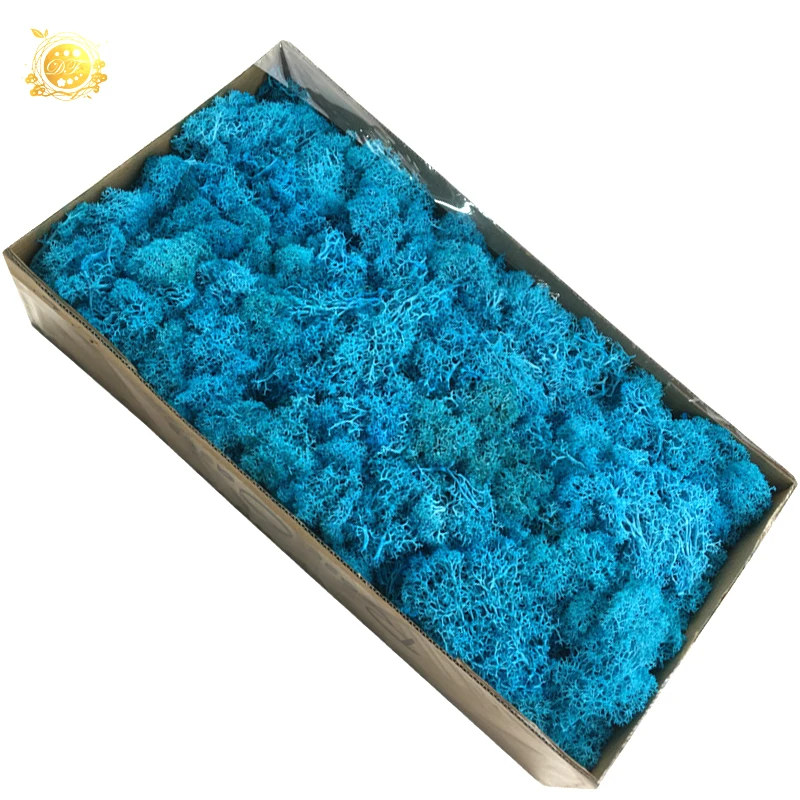 Yunnan A grade dried flowers wholesale preserved moss  for indoor decoration