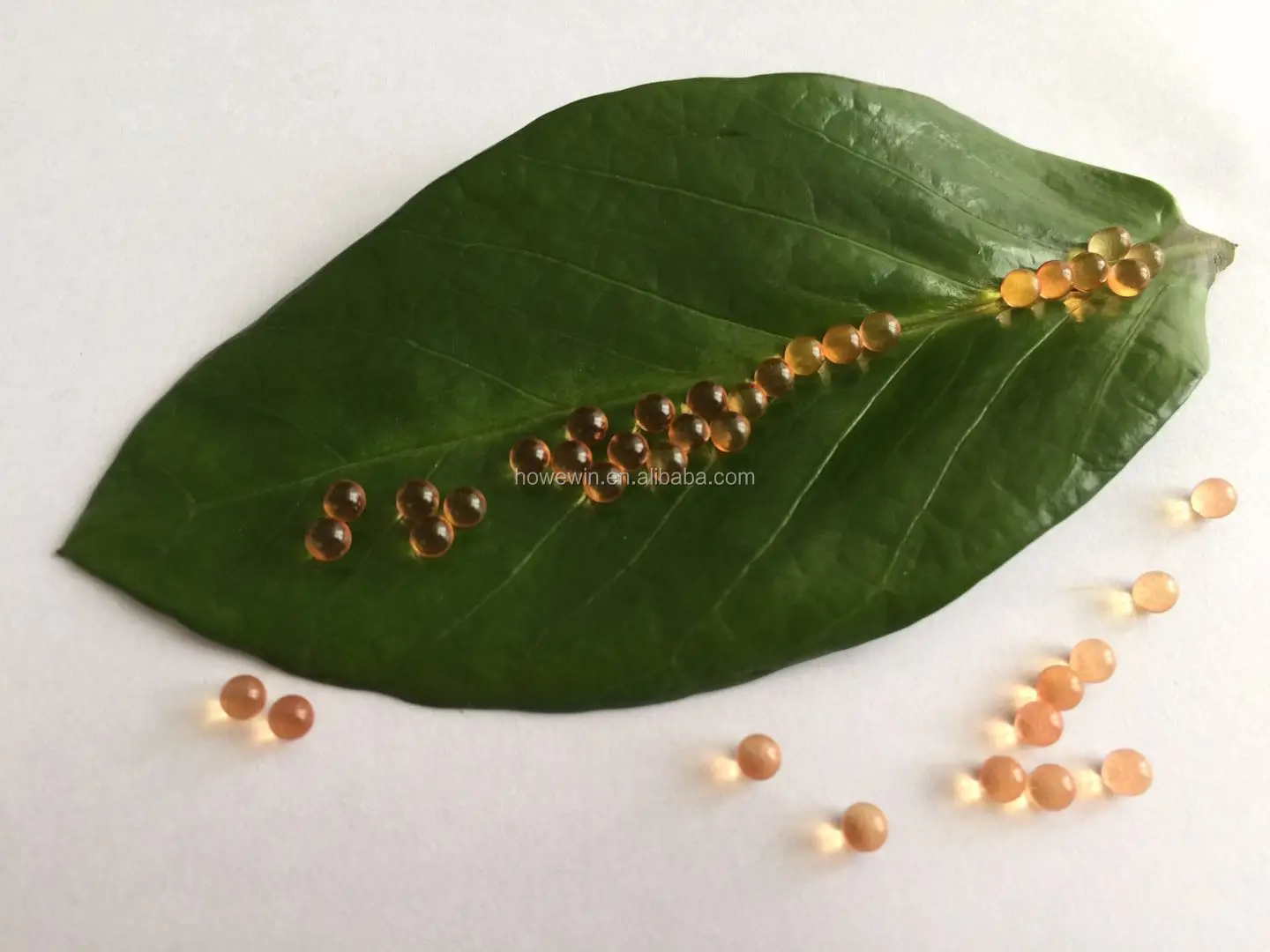 
Vitamin E soft softgel with high quality krill oil antioxidant 