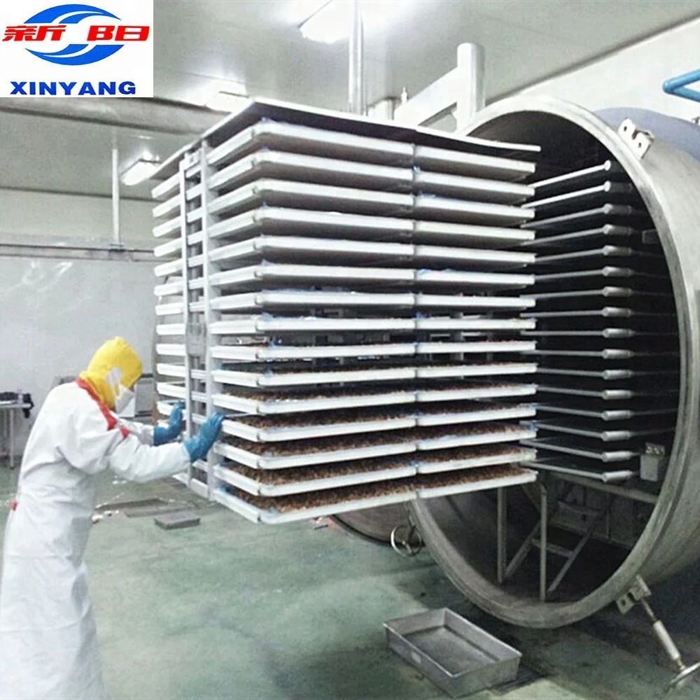 China Vacuum Durian Freeze Dry Machine For Sale / Lyophilization Machine supplier