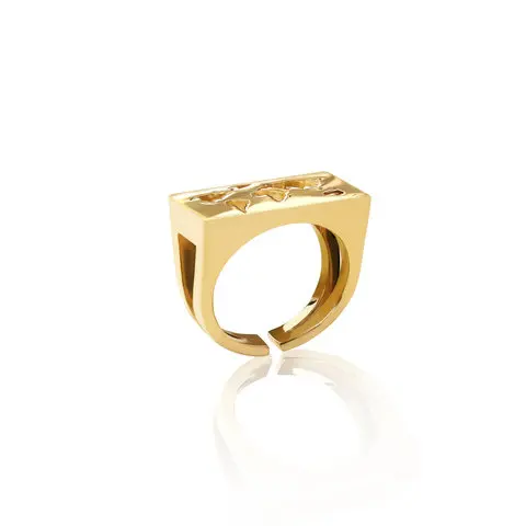 Gemnel dainty 18K gold fine jewelry earth map signet world adjustable ring