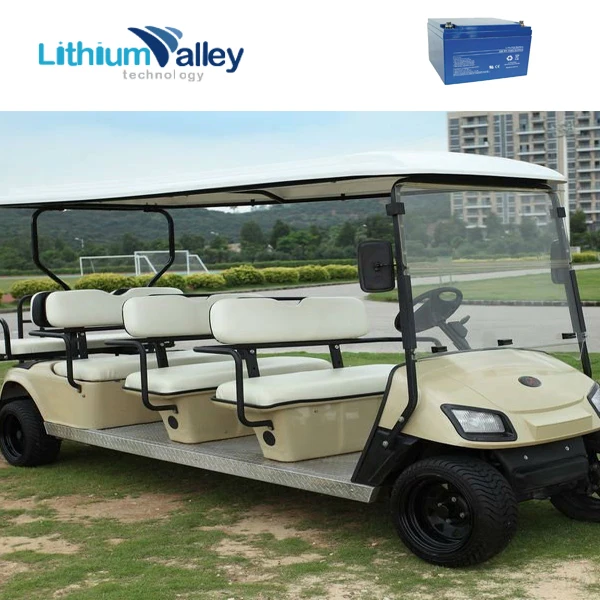 Литий-ионная батарея Высококачественная 24v 30ah lifepo4 батарея для e-scooter e-bike