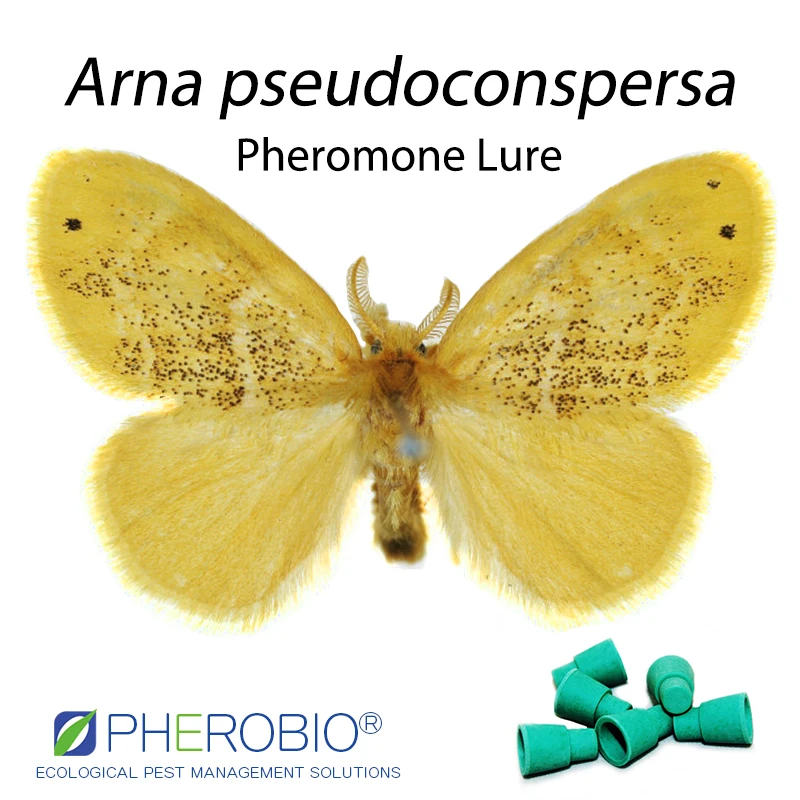 Tea tussock moth Arna pseudoconspersa pheromone lure pheromone trap