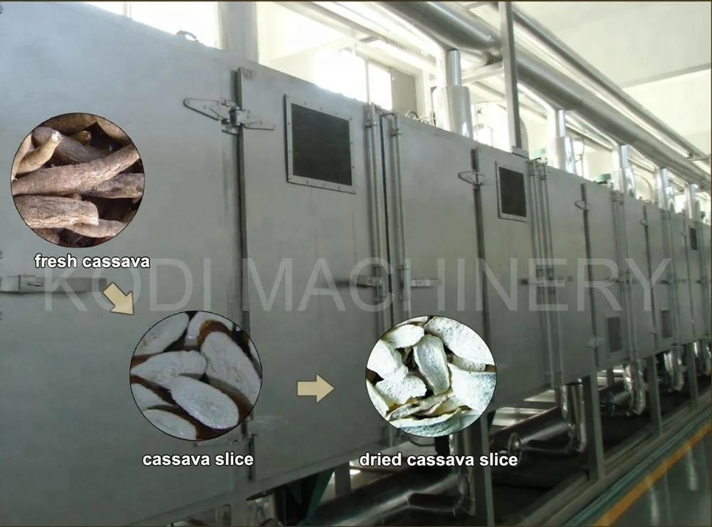 DW model continuous Carrageenan  belt dryer seaweed dryer machine
