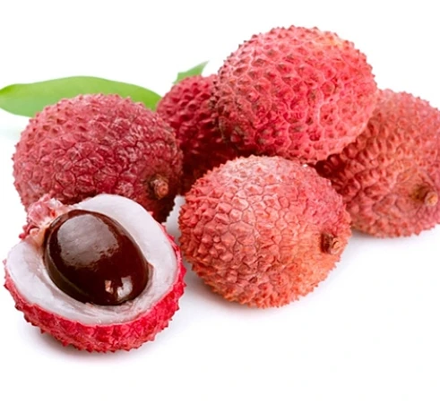 Export food canned lychee for vegetable fruits for indonesia food