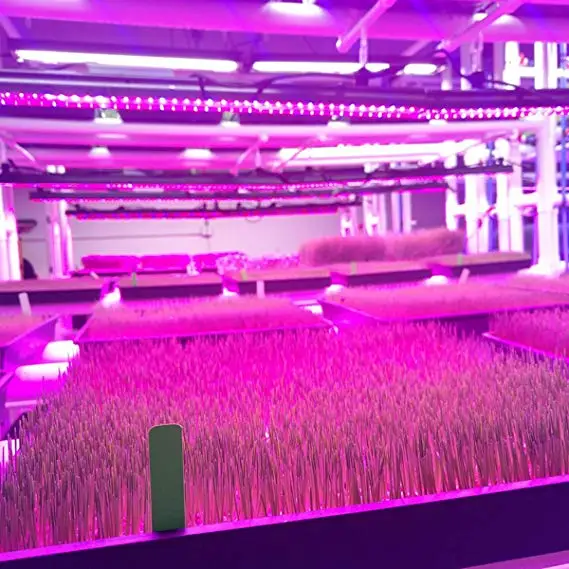 Лучшая цена, алюминиевый корпус, подвесная гидропонная светодиодная промышленная лампа