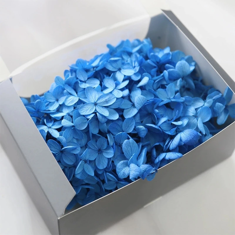 wholesale pink hydrangea flower fresh cut flower preserved hydrangea for hydrangea flowers wedding