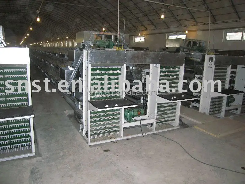 Good price second hand poultry show cages with CE certificate