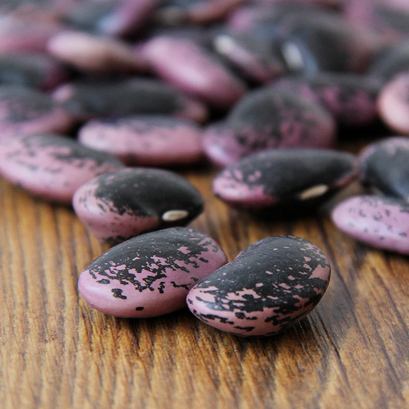 Organic large black speckled kidney bean for sale