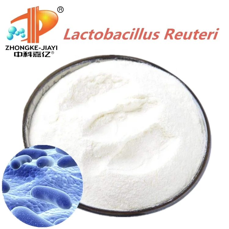 
China supplied Top quality valuable probiotics powder Lactobacillus Reuteri 