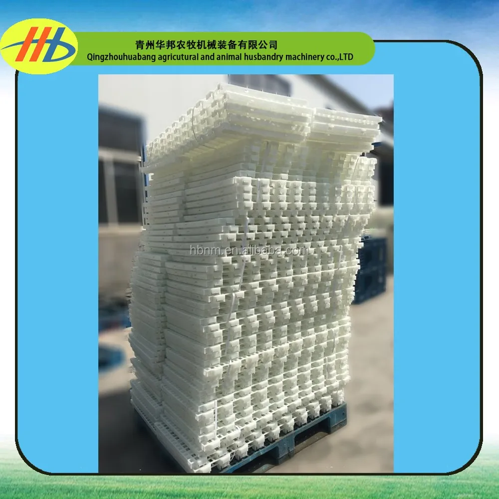 2020  hot sale plastic raised slat floor system for chicken farm house