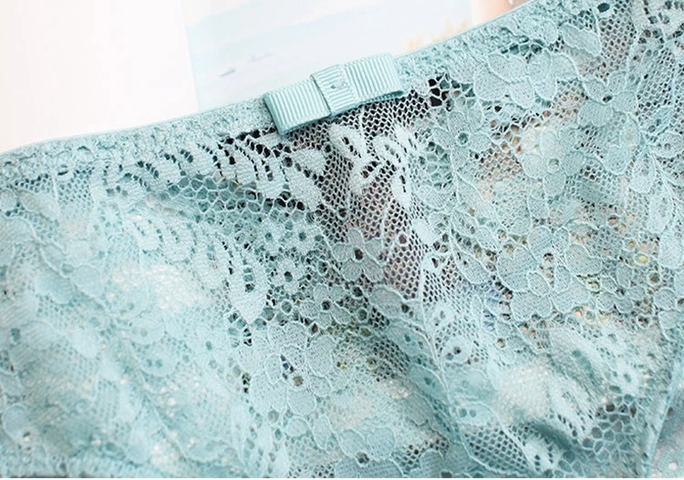 Ladies Lace Transparent Brief Sexy Images of Girls Without Underwear