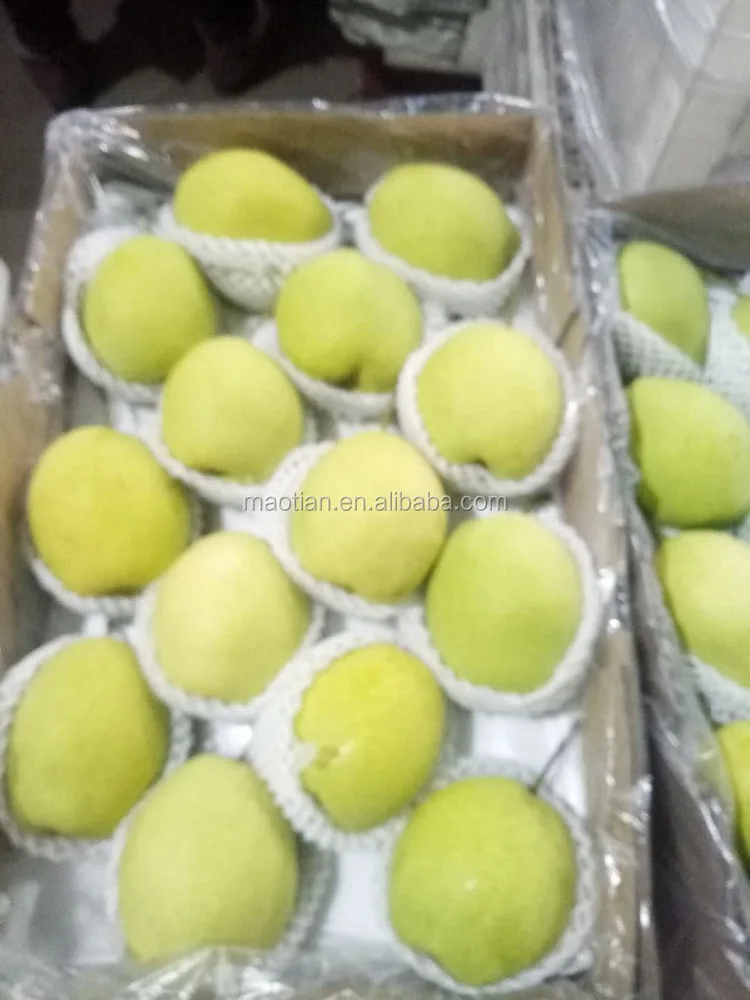 
Fresh Shandong Pears 