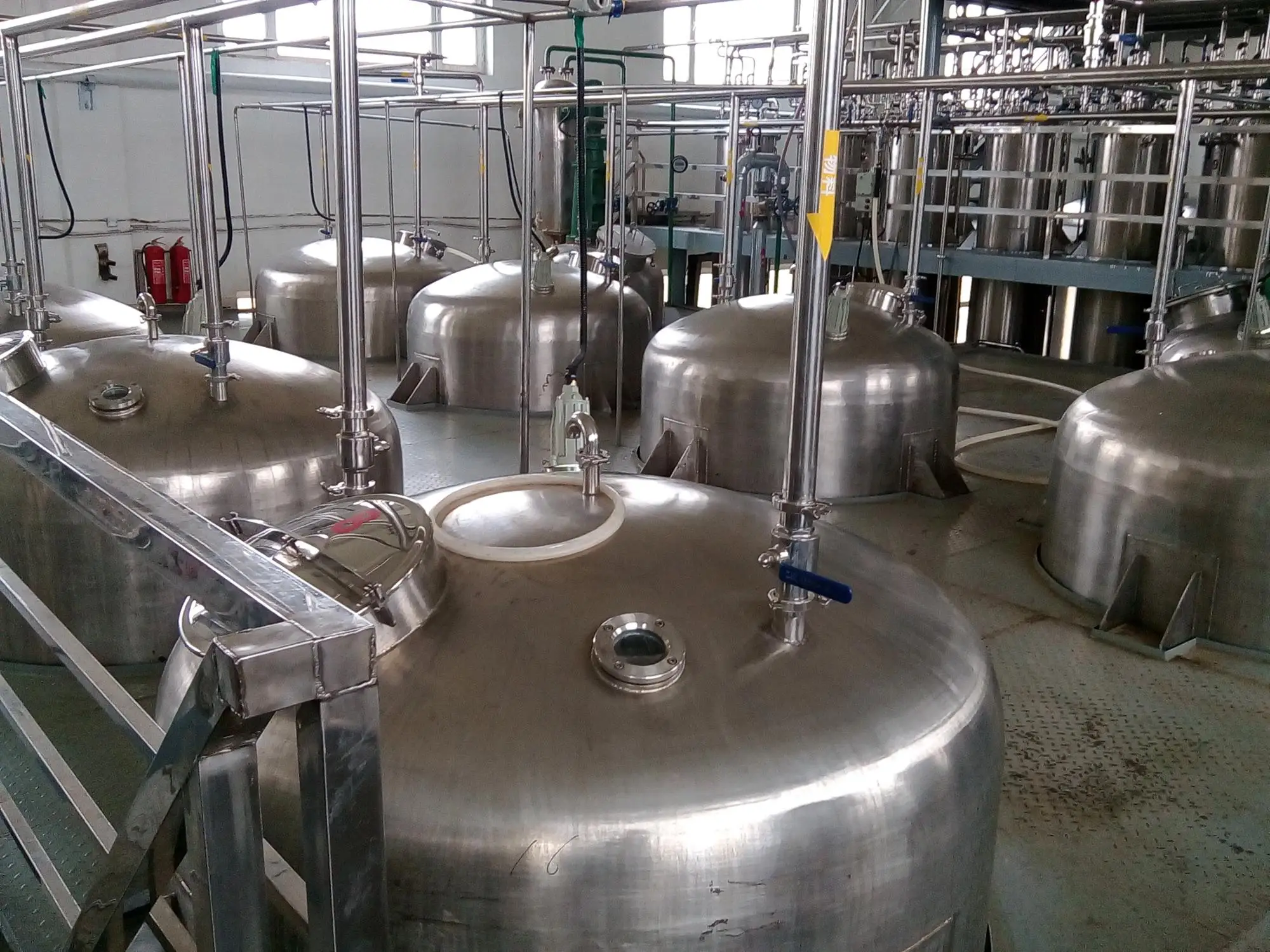 
High Quality Natural Plant Saw Palmetto Extract Powder 