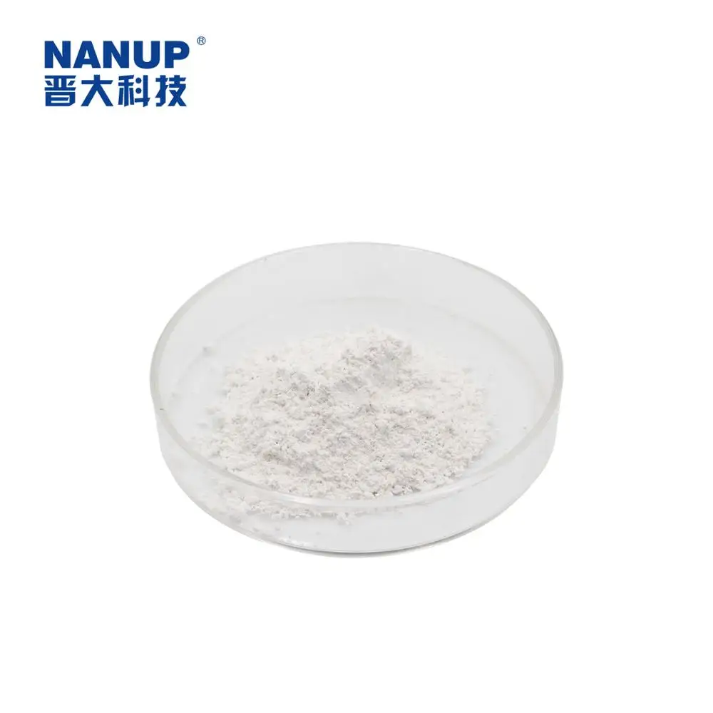 
Supply Antibacterial Chemicals Powder Raw Material Nano Silver Powder For Silicone Materials 