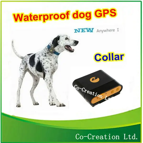 Pet gps chip Lookup BeforeBuying