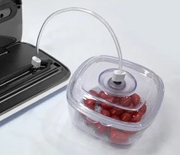 
10 Years Factory Supply 2019 The Newest new arrival vacuum food sealer italy design 