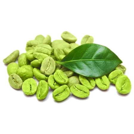 Factory Bulk Price Pure Green Coffee Bean Extract Powder Chlorogenic Acid