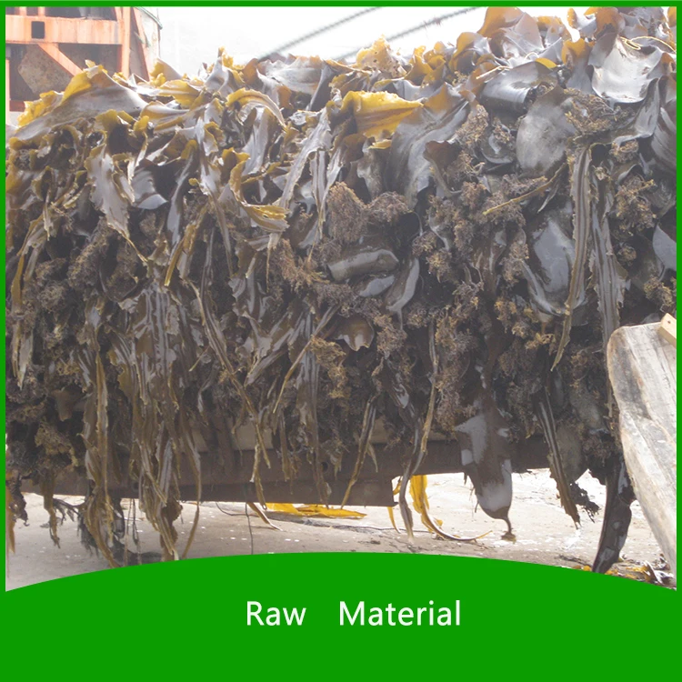 Upcrop Seaweed Liquid Concentrate Fertilizer For Flower
