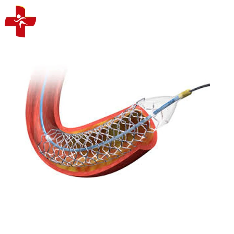 Stainless Steel Sirolimus-eluting Coronary Stent