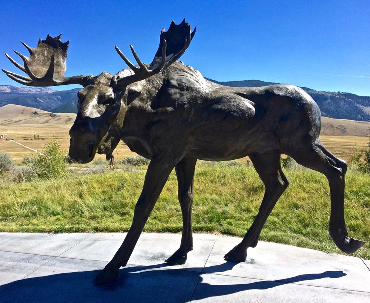 Low Price musk deer with Best Price