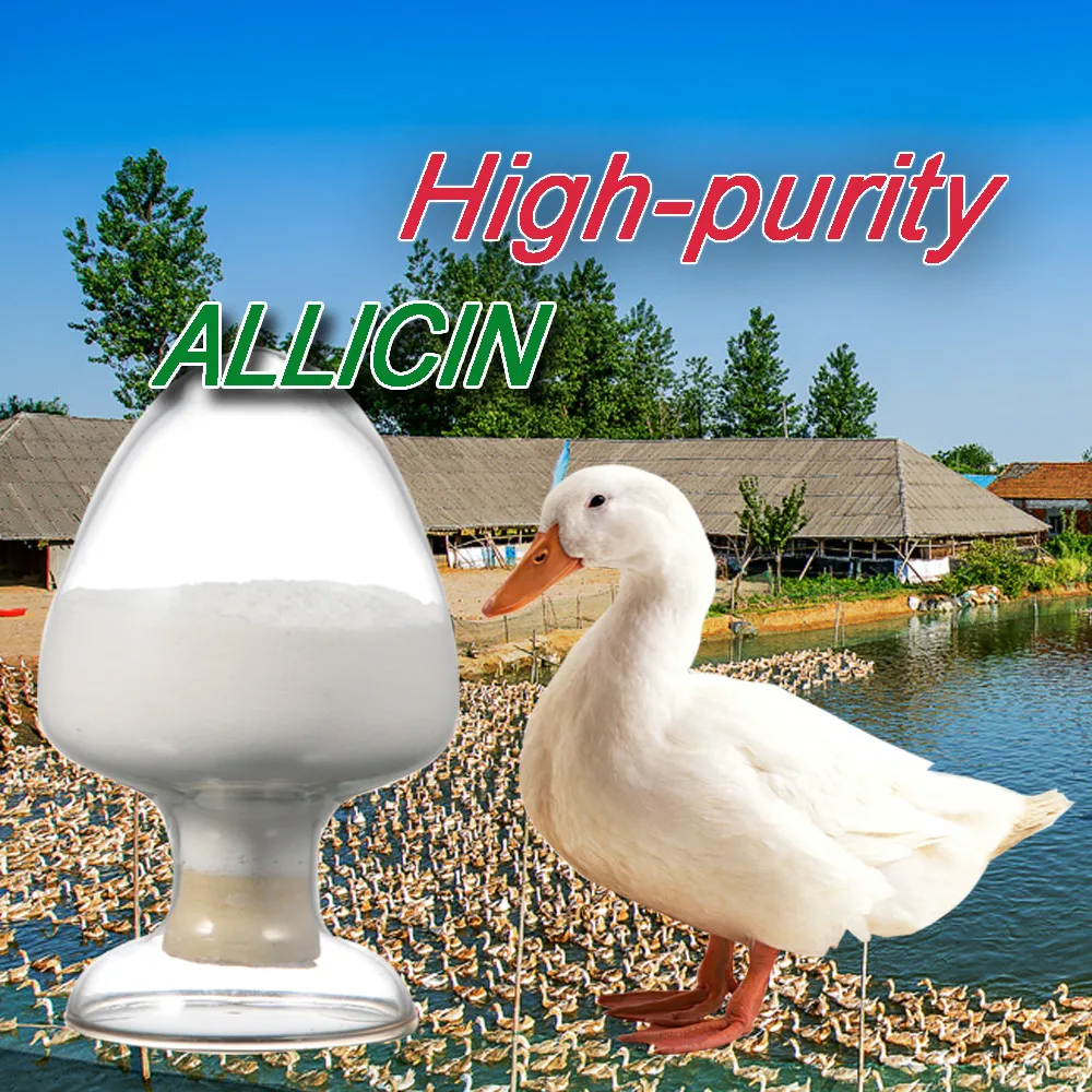 reduce feed consumption, increase the number of eggs allicin 15% 25%