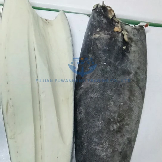 
High quality frozen oilfish fillet 
