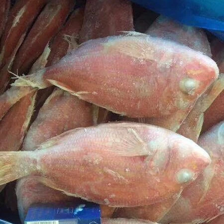 Замороженный красный