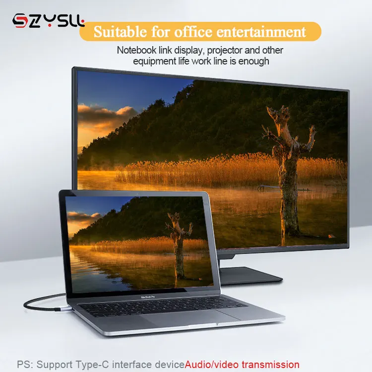 Fast Charging Type c to Type c USB cabe 5A 3.3 ft  6.6ft  10ft USB 3.1 Gen2 cable