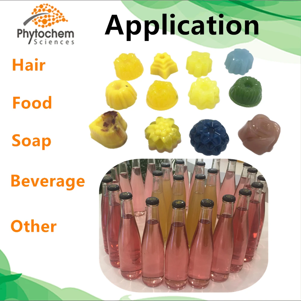 
Pigment powder 100% natural food coloring for bake wholesale from factory 