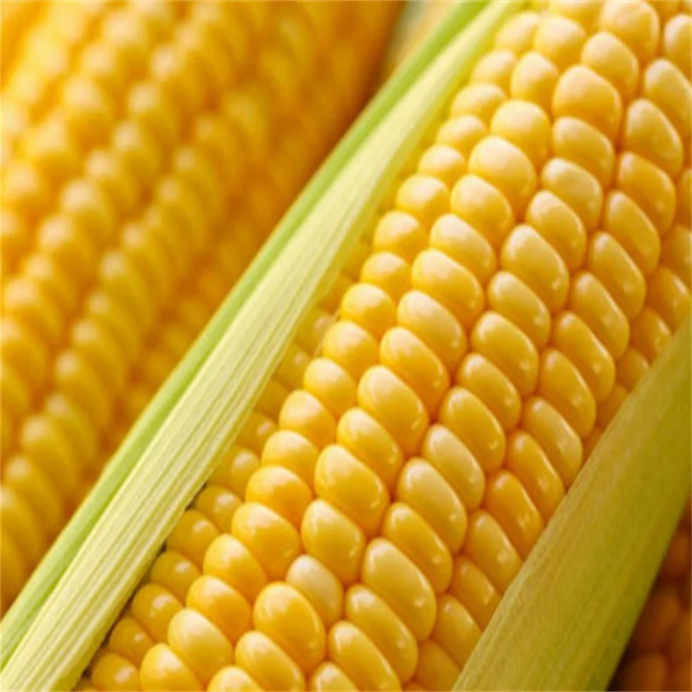 Органические закуски из сладкой кукурузы с низким содержанием жира