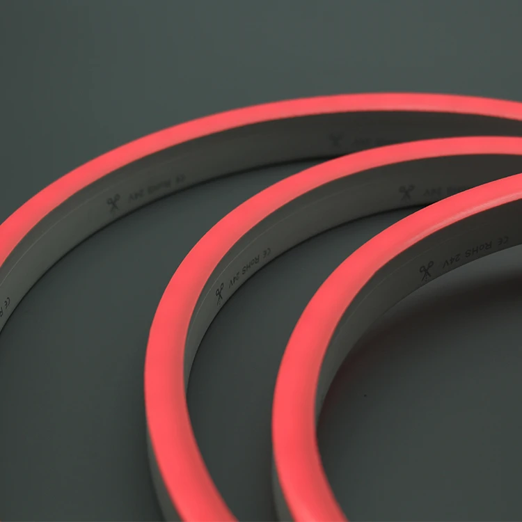 IP68 Swimming Pool Light Underwater Led Neon Flex Tube 10x20mm Ultra Thin RGB 5050 PWM DMX 12V 24V 110V 220V Strip Tape Rope