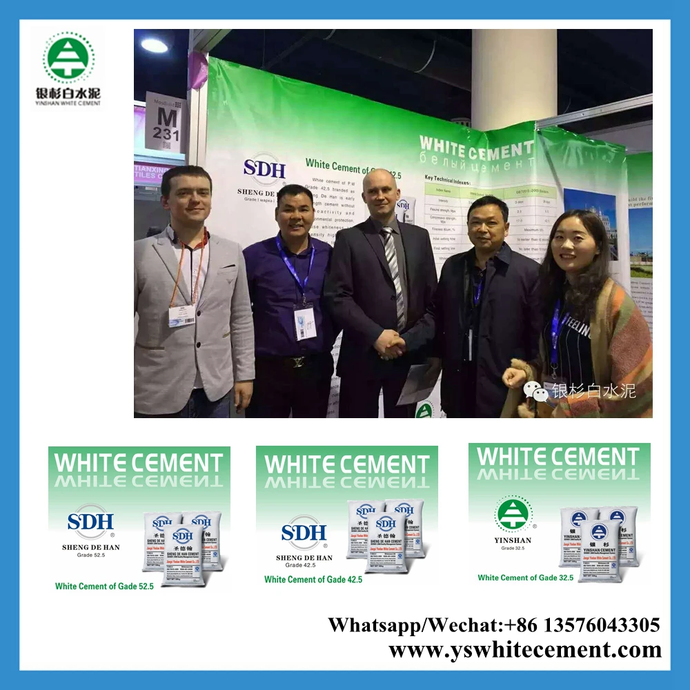 SDH White cement for asian paint wall putty powder price