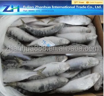 Замороженные сардины в качестве приманки на продажу Горячий сезон продаж цена замороженных сардины