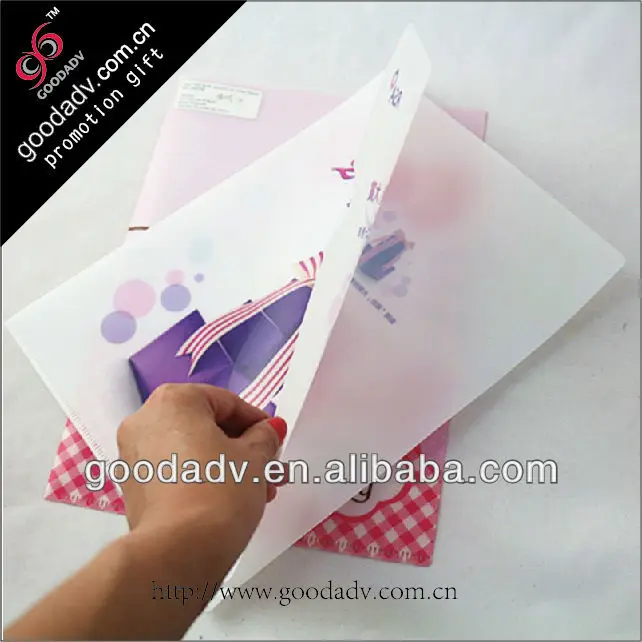 Plastic file folder/pp folder file