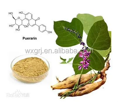 
Pueraria Mirifica Extract, White Kwao Krua Extract 