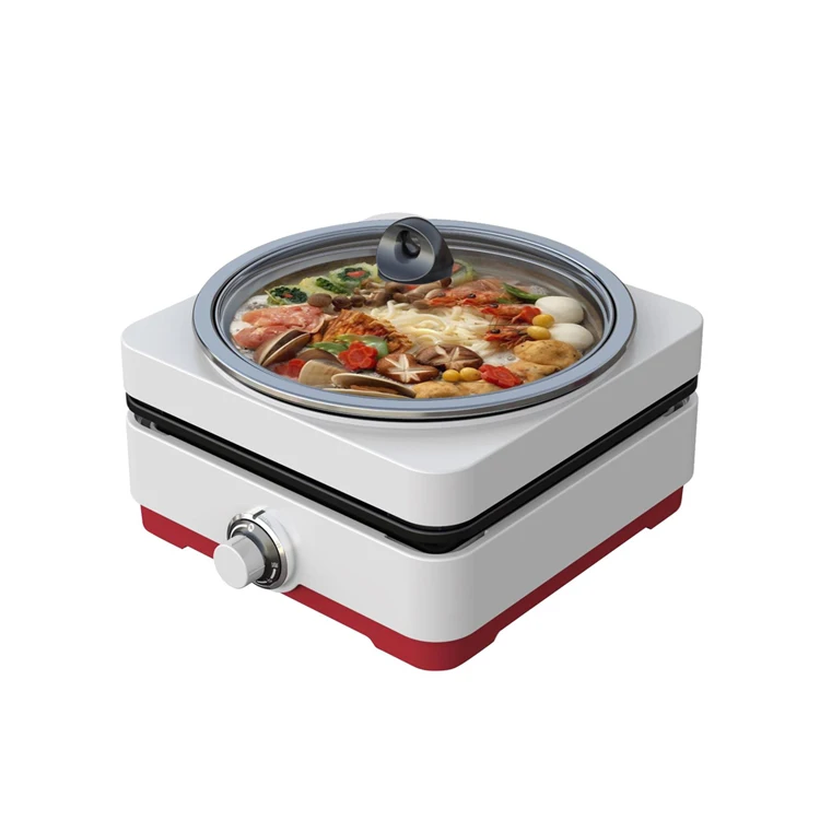 Electric Reversible Grill Griddle with Removable Nonstick Plate and Stainless Steel Pot Temperature Control Indoor