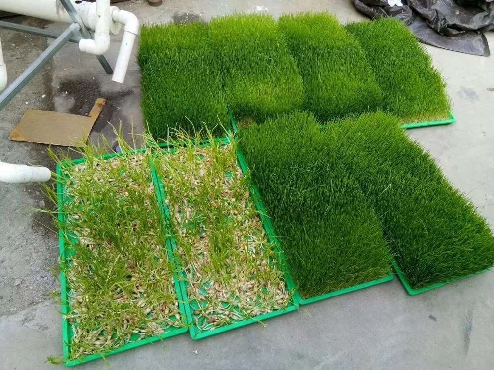 Container vegetable cultivation system hydroponic system three-dimensional vegetable cultivation soilless cultivation system