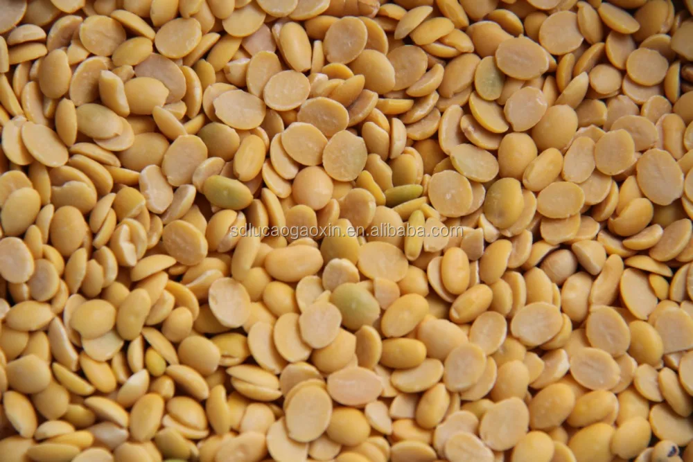 
soybean processing equipment/soya beans peeling machine/soya beans peeler for India 